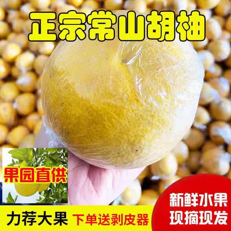 常山胡柚5斤新鲜水果当季酸甜微苦小柚子包邮老树黄心孕妇水果