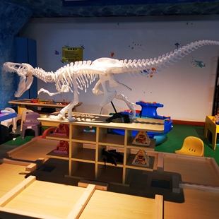 商用考古桌配套恐龙大型恐龙骨架霸王龙
