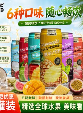 国民味队凤梨汁饮料500ml*24瓶