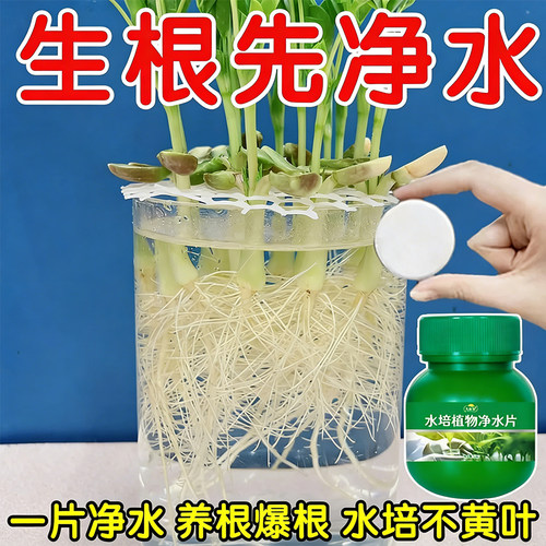 久木堂富贵竹净水片水培植物专用去混净水质促根净化水质叶面肥