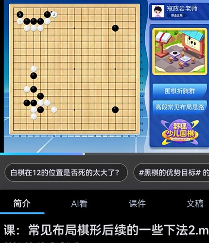 同恒围棋视频课寇政岩职业五段 2024 高段常见布局思路 10课时