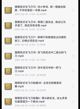 围棋教学视频课人间道场出品围棋定式与飞刀 一共20讲