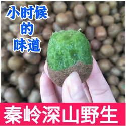 【纯野生】秦岭野生猕猴桃新鲜现摘纯天然5斤包邮孕妇水果奇异果