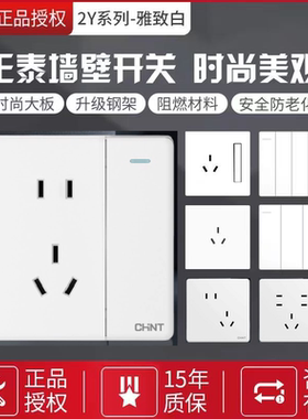正泰开关插座2Y白开双控斜五孔