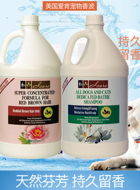 icare爱肯宠物沐浴露猫狗通用洗发香波泰迪红棕褐色专用3800ML美
