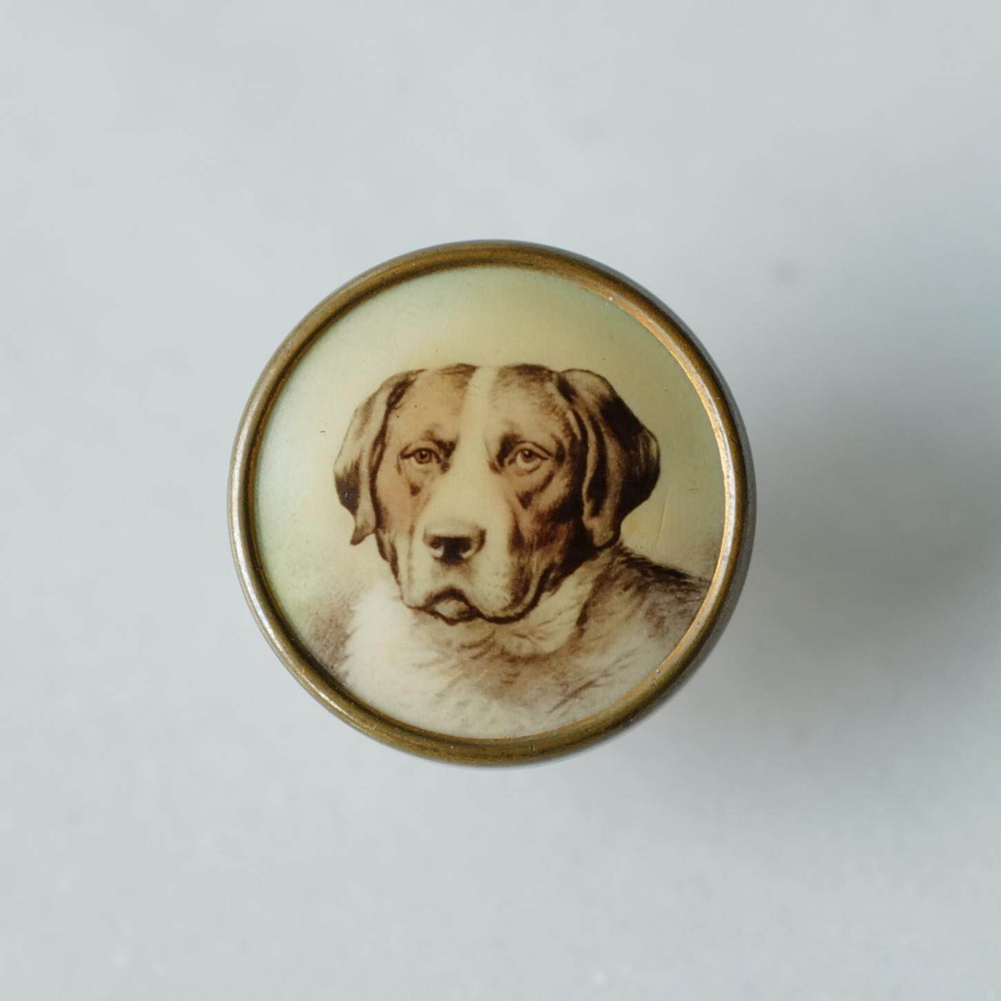 14mm半仅1颗英国VINTAGE20世纪早期黄铜边框指示猎犬肖像石印纽扣