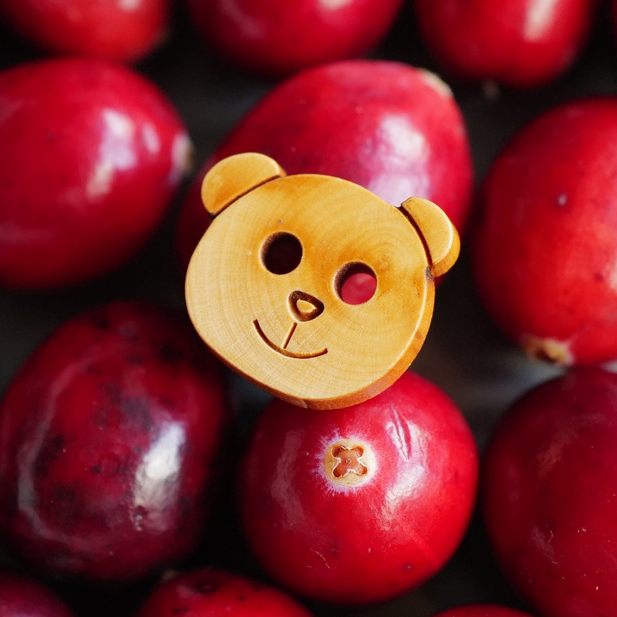 熊猫脸造型木质童趣纽扣