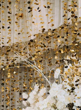 金色银色圆形定位珠片亮片串婚礼舞台节日生日派对背景挂饰道具