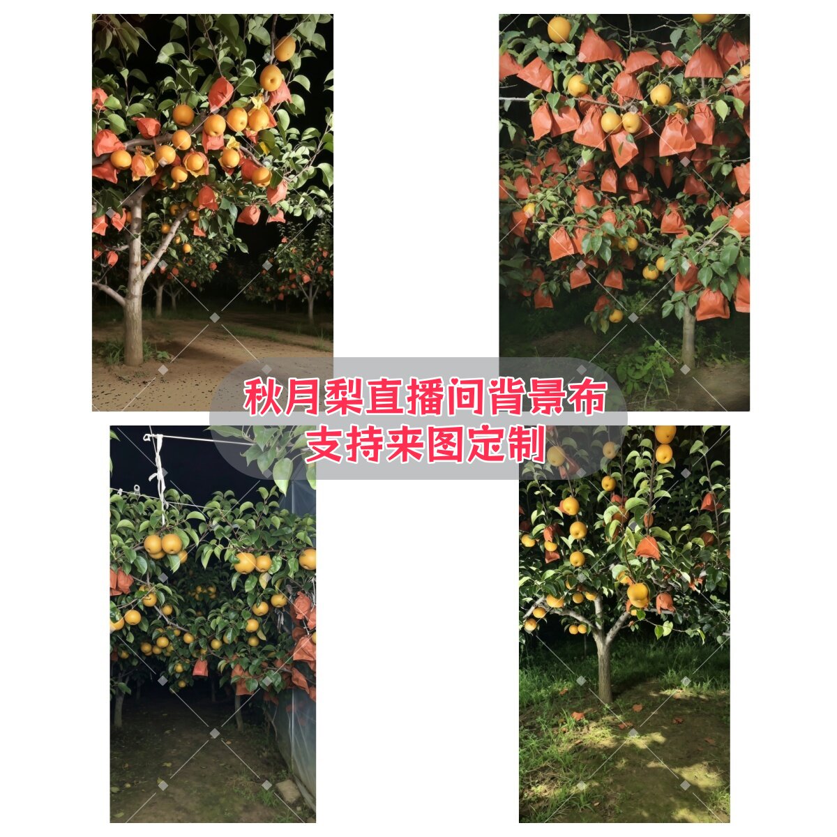 秋月梨带货直播间专用背景布