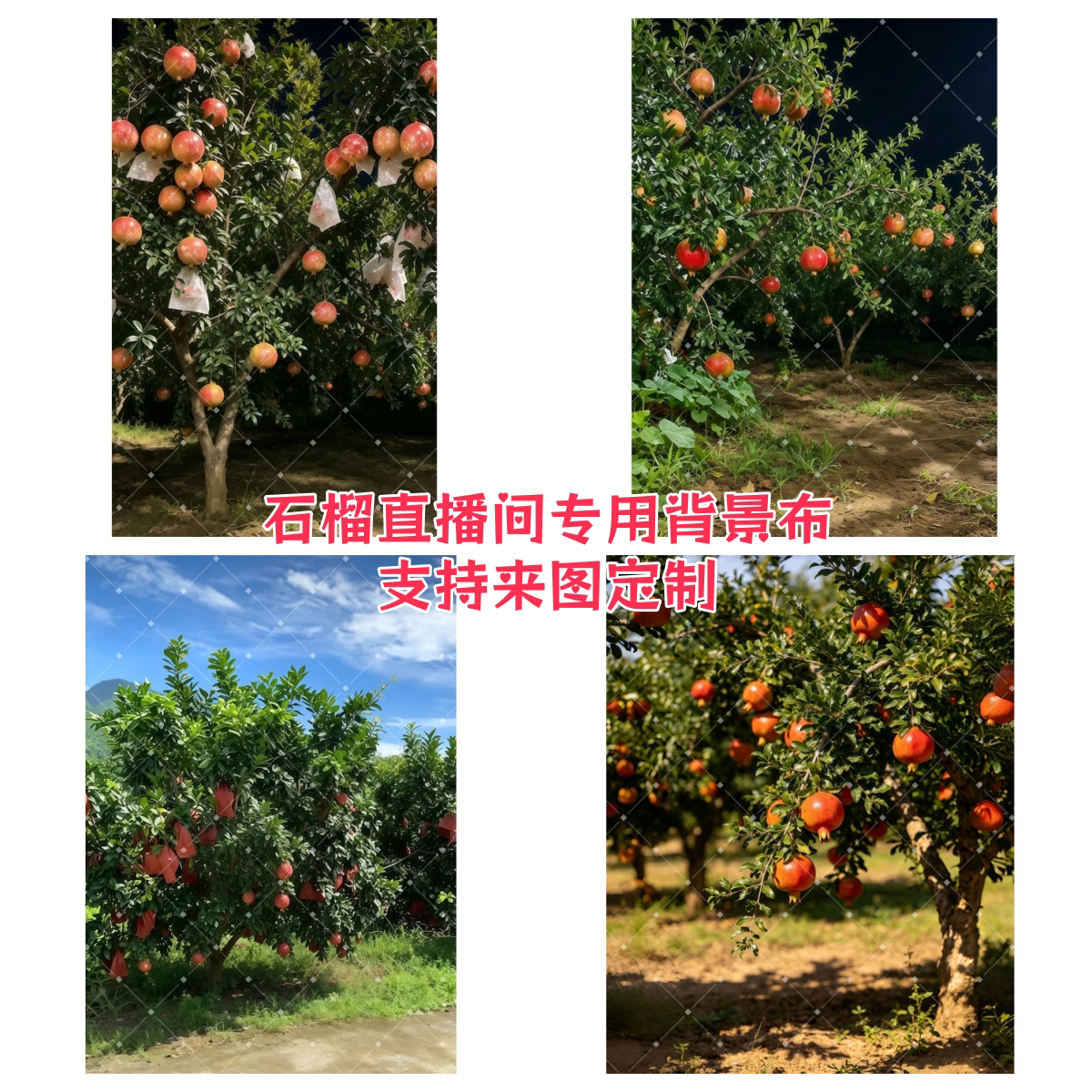 石榴直播间背景布来图定制