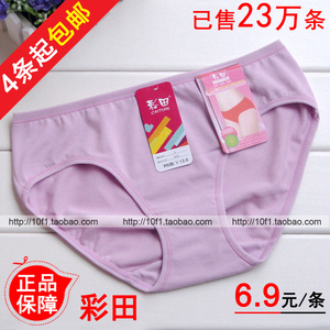 4条起包邮【正品】彩田213 纯棉 纯色 透气 低腰三角 女士内裤
