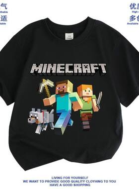 Minecraft我的世界联名衣服男怕