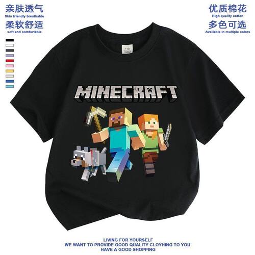Minecraft我的世界联名衣服男怕
