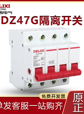 德力西隔离开关DZ47G小型总闸1P/2P/3P/4P家用单相32a三相四线63a