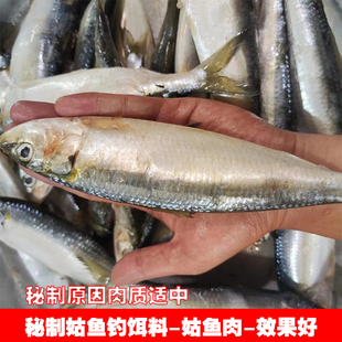 整条姑鱼饵秘制温鱼片钓饵沙丁鱼饵料黄脚立石斑鱼黑雕海钓饵钓鱼