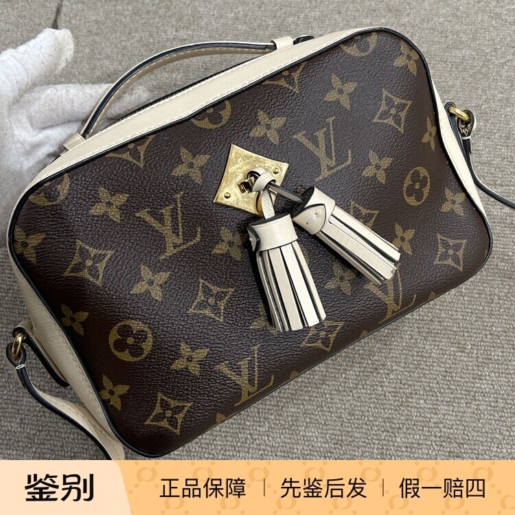 98新现代款过鉴定 二手LV经典老花流苏相机包单肩斜挎包20*18