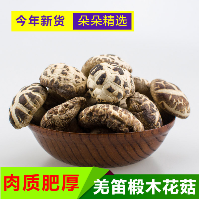 汉中特产椴木干花菇肉厚无根250g