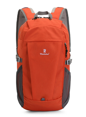 儿童旅行双肩包男孩户外春游背包轻便小学生外出旅游补习补课书包