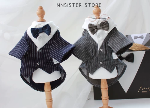 Красие кошки британское короткое костюм платье для любимой собаки