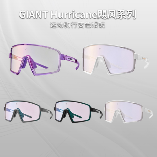 正品GIANT捷安特眼镜liv变色炫彩防风镀膜骑行眼镜/风镜男女装备