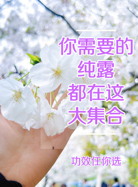 纯露玫瑰迷迭香积雪草橙花茉莉人参矢车菊沙棘果纯露补水保湿