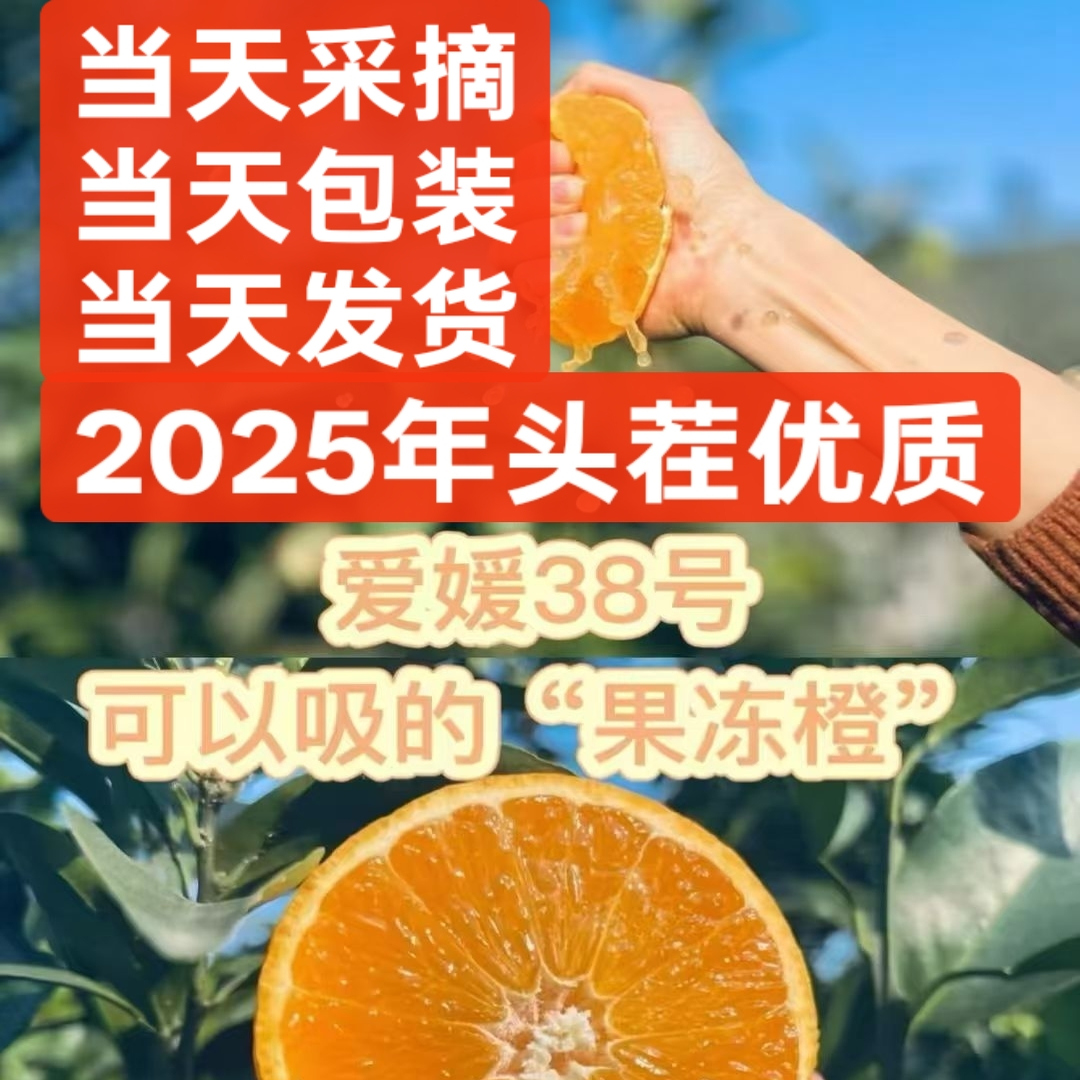 四川爱媛38号果冻橙当季眉山橙子整箱新鲜水果手剥橙10斤礼盒大果