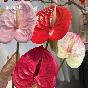 【youyier】新年3D仿真红掌福桶年宵花装饰酒店摆台鲜花花束装饰