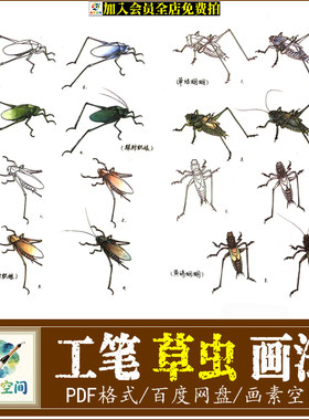 工笔草虫电子版资料工笔蝴蝶蜻蜓螳螂画法草虫技法资料怎么画草虫