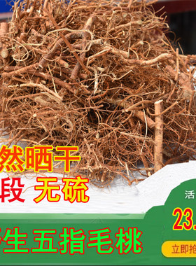 野生广东特级新鲜煲汤料五爪龙