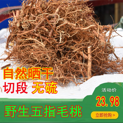 野生广东特级新鲜煲汤料五爪龙