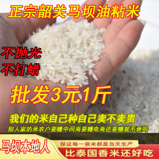 新米马坝油粘米广东特产农家大米5kg长粒香米10斤优质2023新籼米