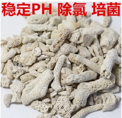 菲律宾进口珊瑚骨提高过滤材料图片