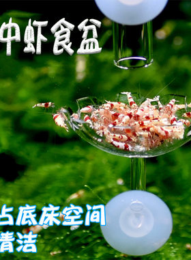 田园漫步亚克力水晶虾喂食杯虾