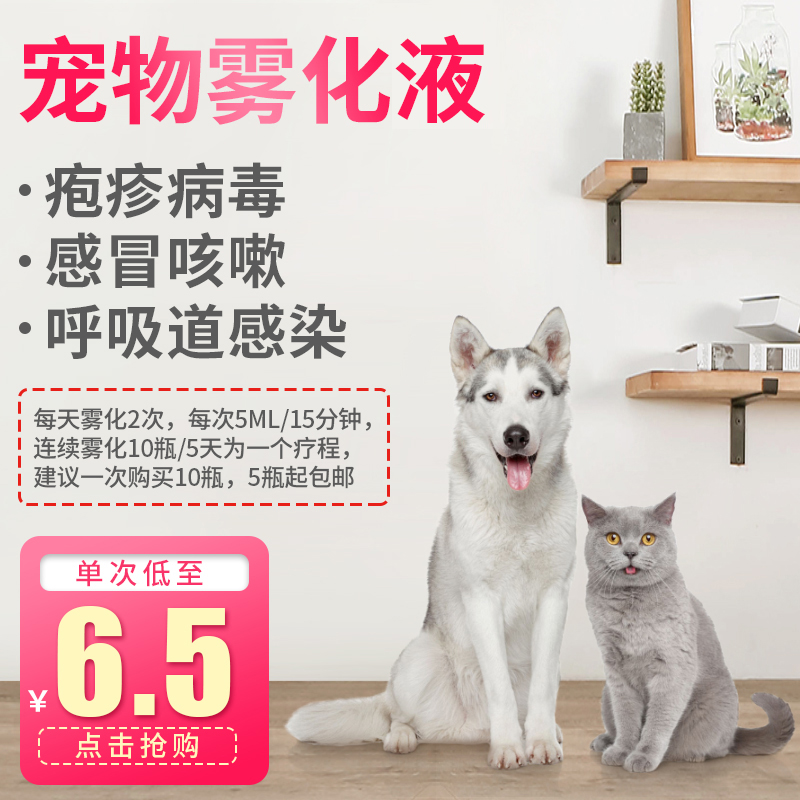 猫鼻支雾化宠物雾化狗感冒喷打嚏咳嗽鼻支杯状疱疹病毒支原体窝咳