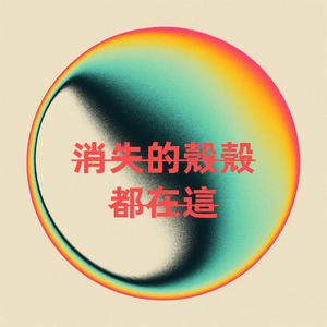 「消失的壳壳，都在这里」