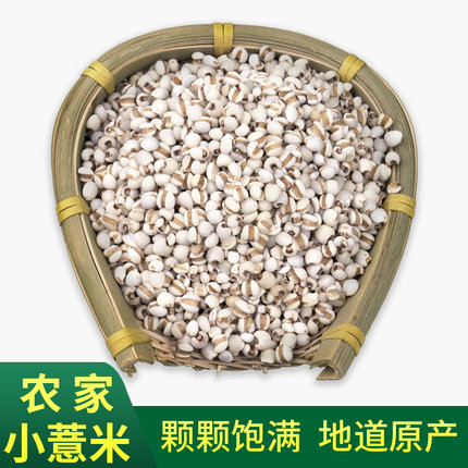 大别山特产优质小薏仁米500g 薏米仁薏苡仁 可磨粉，薏米500g