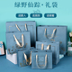 袋 手提拎袋 创意礼袋 绿野仙踪烫金环保礼品包装 包装 精美纸袋