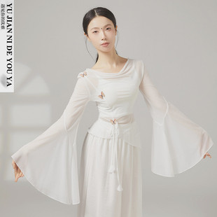 白色蝴蝶喇叭袖中国舞古典舞蹈服练功服演出服装上衣女飘逸网纱衣