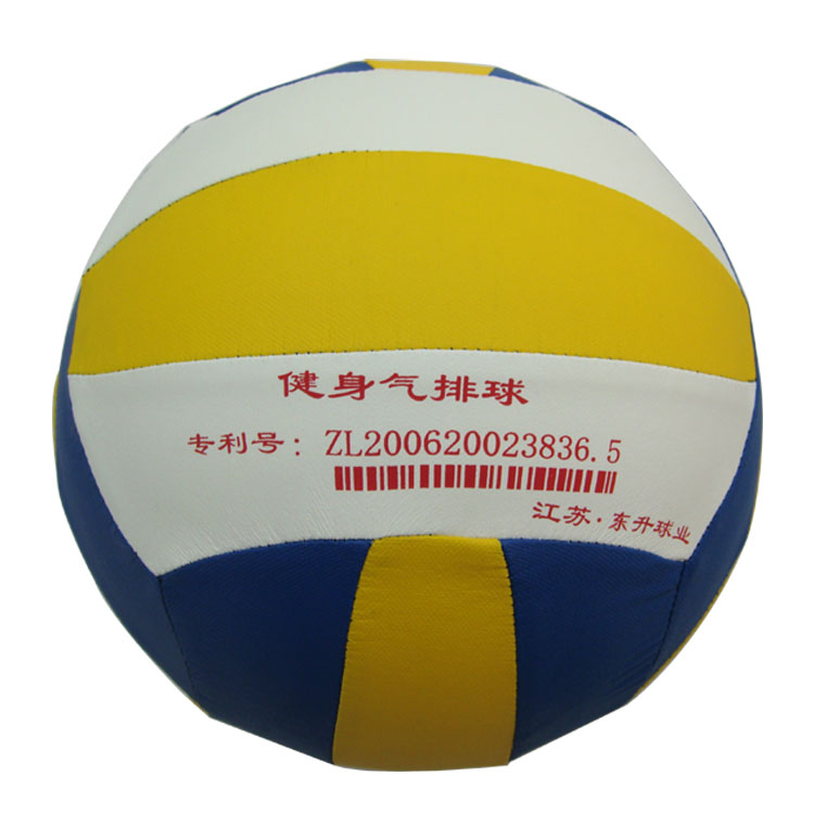 Ballon de volley - Ref 2008015 Image 3