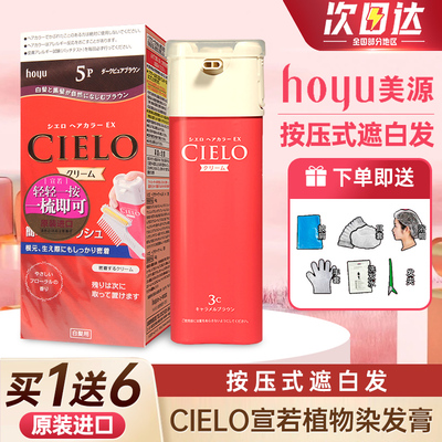 日本美源宣若女士遮白发染发膏剂
