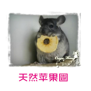 天然健康苹果圈/苹果干兔兔豚鼠龙猫零食助消化多VC零食 50G