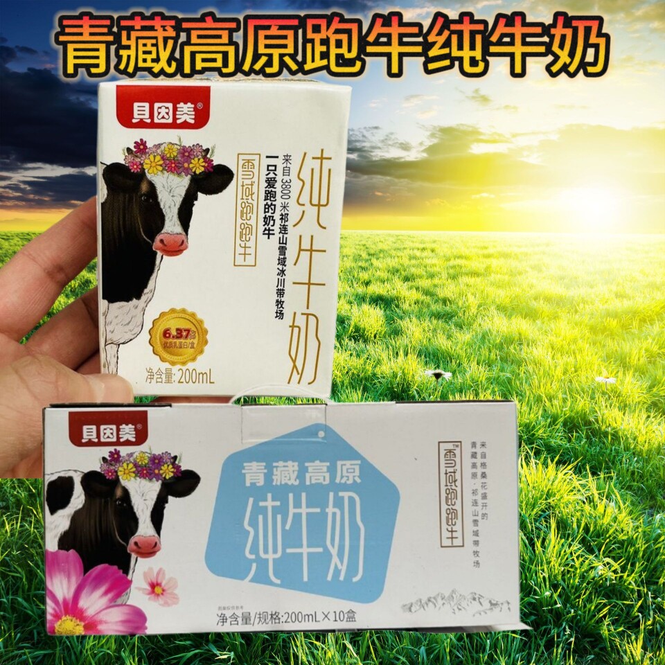 贝因美雪域纯牛奶200g*10盒生牛乳学生营养早餐青藏高原牛奶新货
