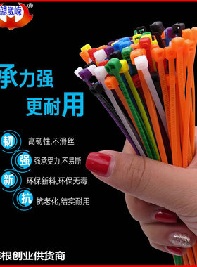 固定卡扣绳 塑料封签红黄蓝绿色4*扎带 彩色尼龙扎带拉紧器