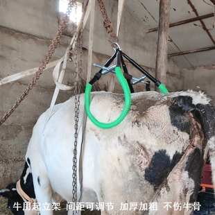 架大牛架牛牵引器牛起立架牛用吊架站立架兽用牛羊定位器母牛架