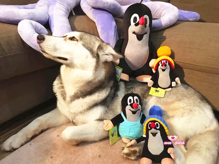 现捷克国宝动漫鼹鼠的故事主角鼹鼠公仔20CM35CM工作裤经典款戴帽|msdalam kategori Toy/bayi/teka-teki/blok bangunan/model, mainan fabrik mewah - dari Buy2taobao.com untuk memberikan perkhidmatan ejen Taobao profesional membeli