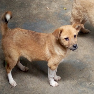 B20 无活体出售 仅供展示 04蛋糕 非卖品