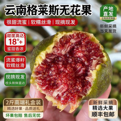 云南格莱斯特树熟软糯无花果