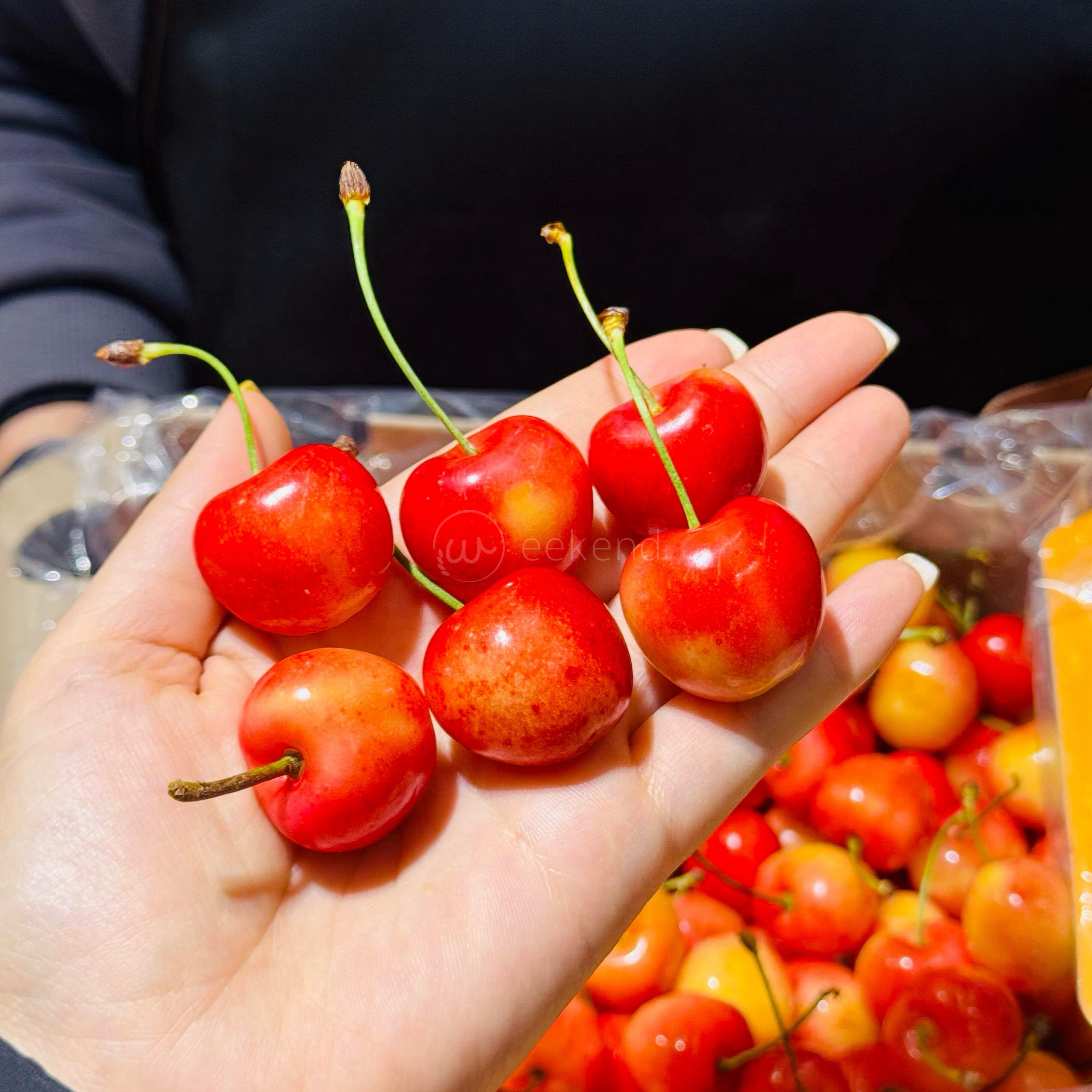 现货智利进口雷尼尔黄金车厘子新鲜水果4JJJJ黄色大樱桃2斤礼盒