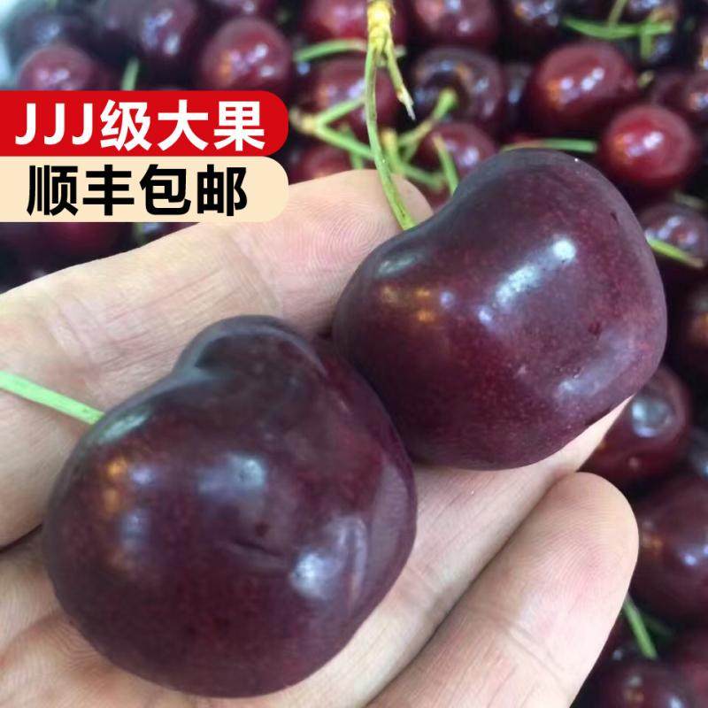 空运智利进口车厘子3JJJ新鲜大樱桃2斤装30-32mm大果水果顺丰当季,水产肉类/新鲜蔬果/熟食,车厘子/樱桃,淘宝优惠券,粉丝福利购,淘宝优惠卷