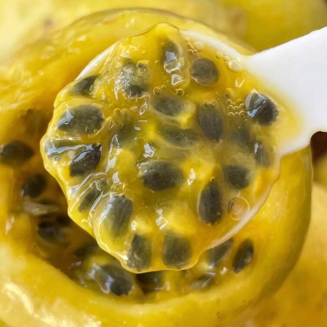 钦蜜9号黄金百香果3斤新鲜水果当季现摘白香果原浆果酱顺丰包邮